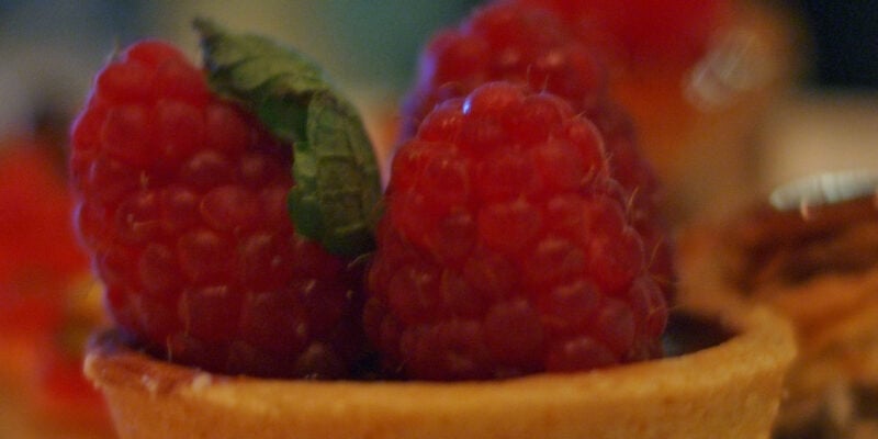 Raspberry tart