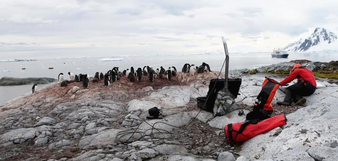 Penguin Lifelines - Raspberry Pi