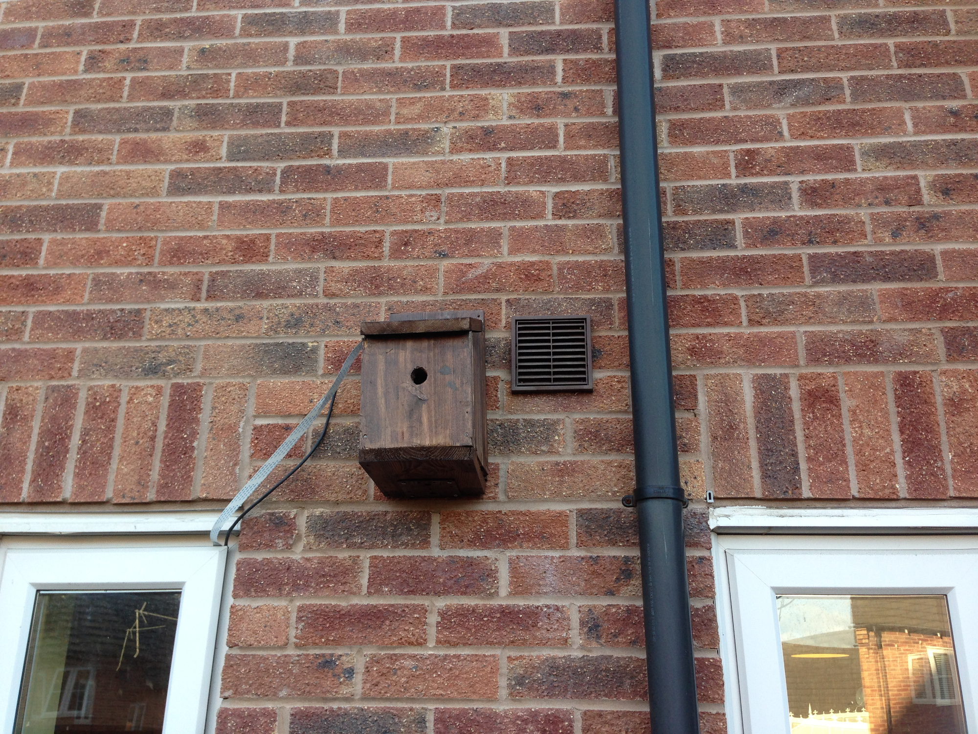 New Year, New You part 2