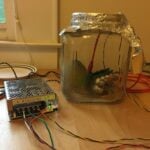 Concrete Jungle Raspberry Pi