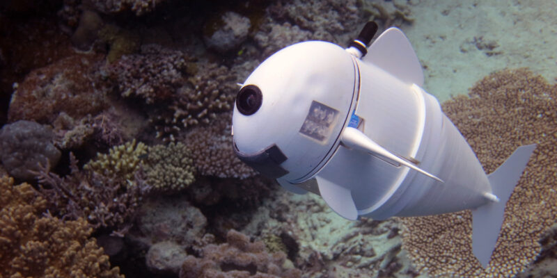 SoFi the robot fish