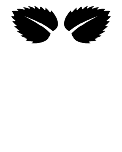 Raspberry Pi laser cut box