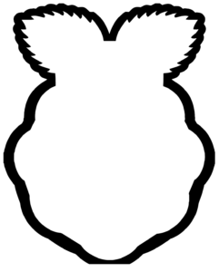 Raspberry Pi laser cut box