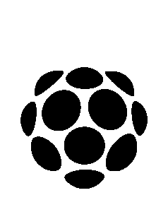 RASPBERRY PI HOLOGRAM