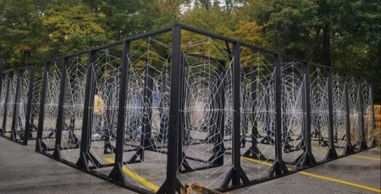 Spider Web Maze