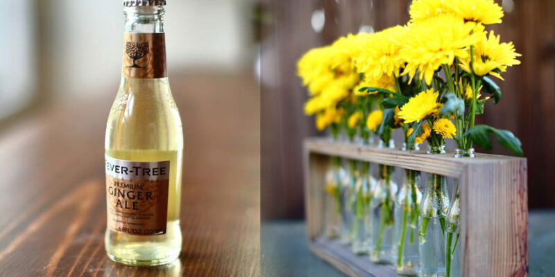 Upcycle Drinks Bottles into a Vase Display