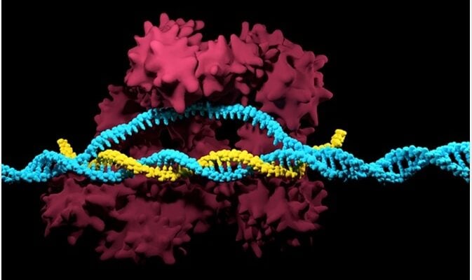 DNA Gel Imager project showcase