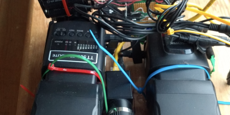 Real-time bee monitor