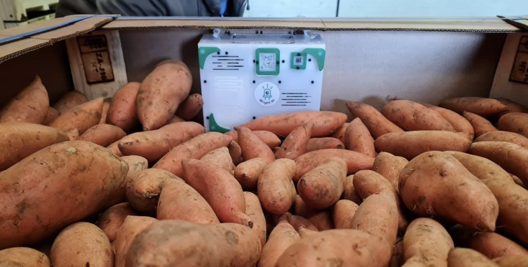 Environmental cargo logger