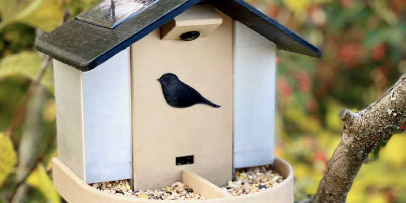 Happy birds — Raspberry Pi Official Magazine