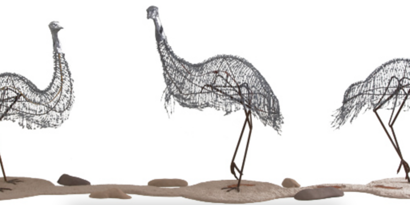 Barbed wire emus