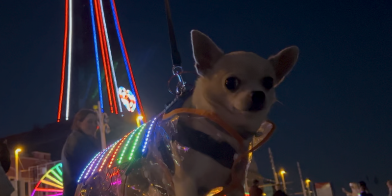 Cyberdog Smart Saddle