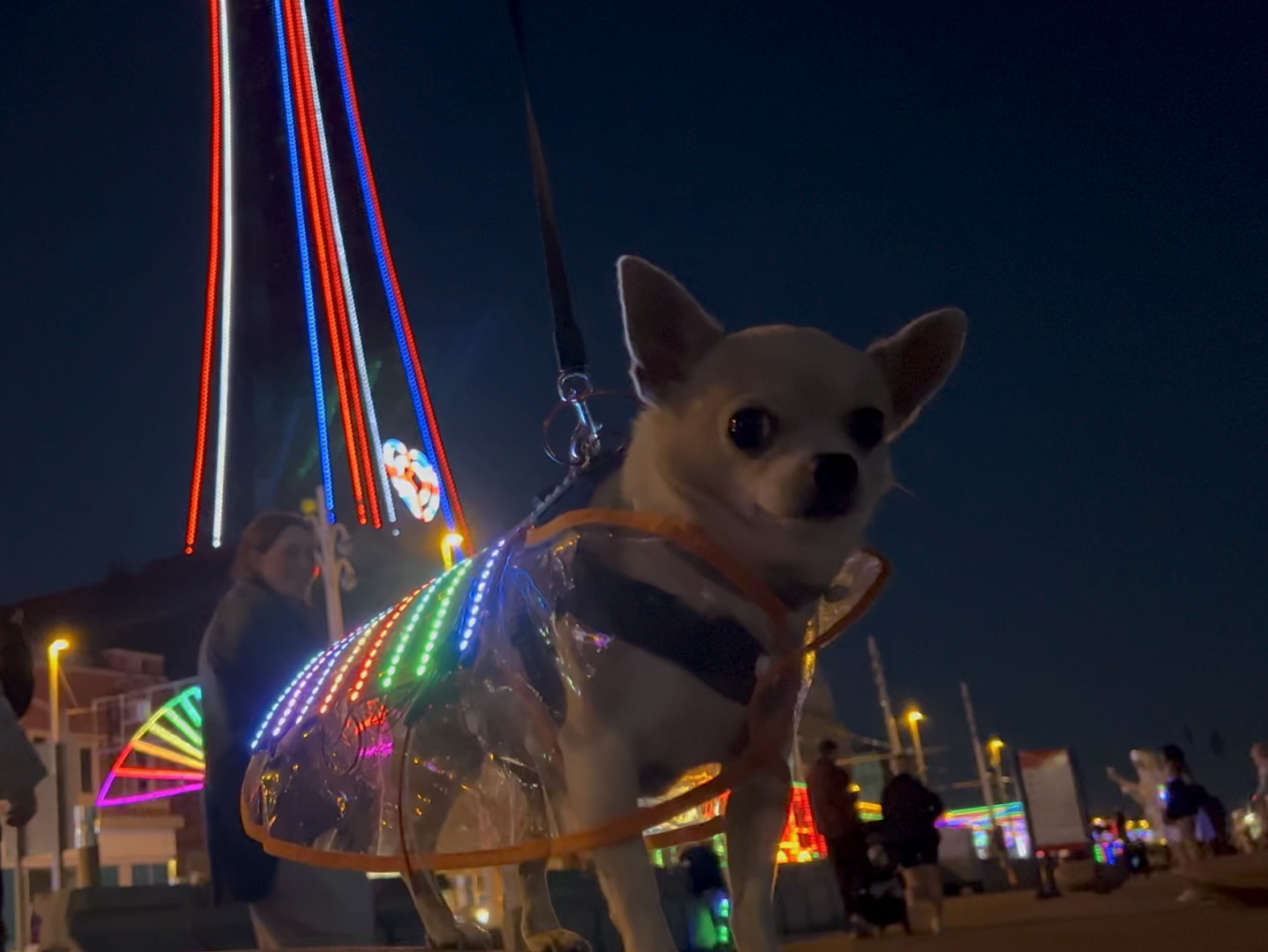 Cyberdog Smart Saddle