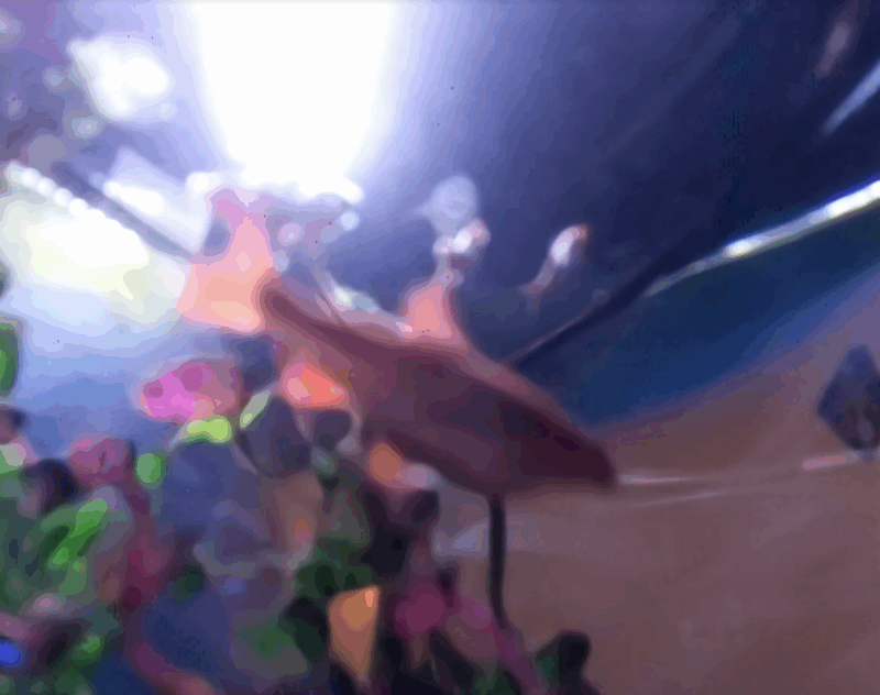 Watch your fish with a Raspberry Pi camera - Raspberry Pi