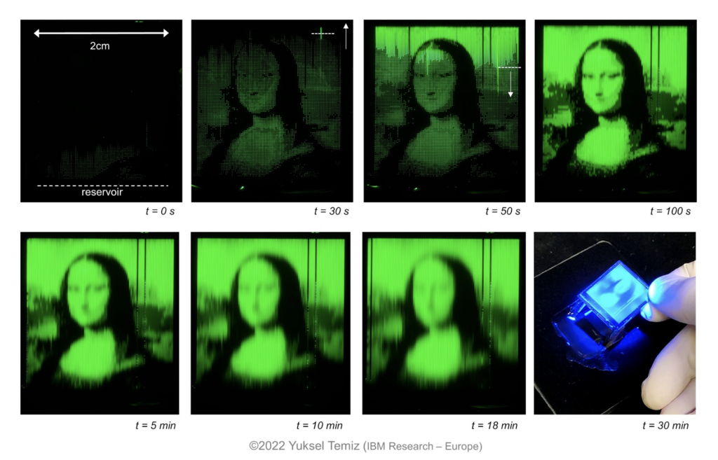 Stills captured using Raspberry Pi HQ Camera showing the Mona Lisa image being created