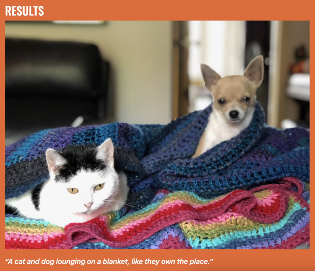 results of Kevin McAleer's GOOGLY GOOGLEY EYES