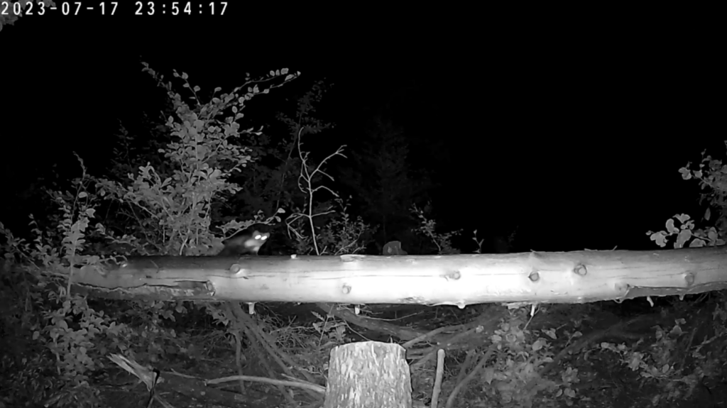 While maybe not his intended target, at least Philip knows his system works