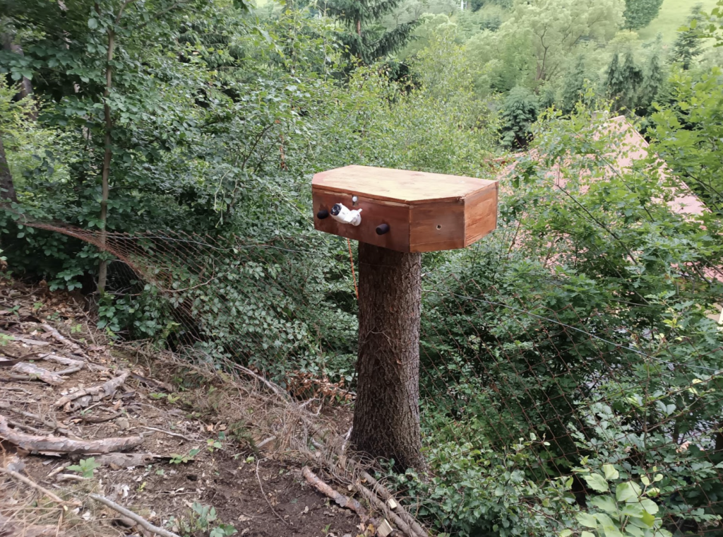 Philip went through many variations of the build