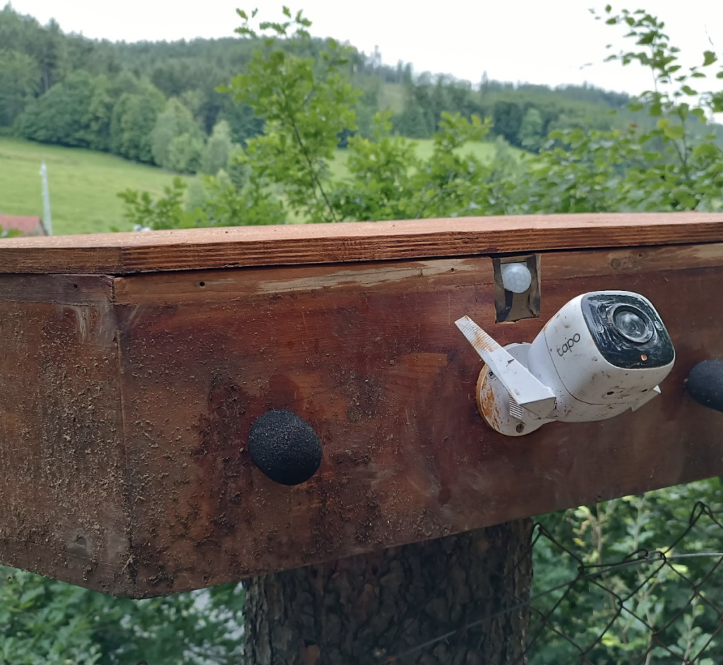 A camera and stereo mics record the environment