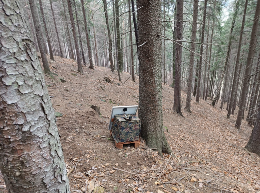 It’s important to make the smallest impact on the badgers’ environment, so camouflaging is essential