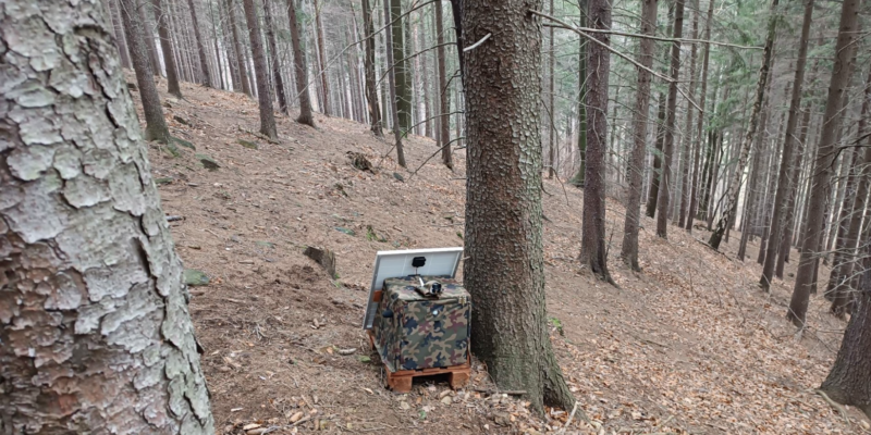 It’s important to make the smallest impact on the badgers’ environment, so camouflaging is essential