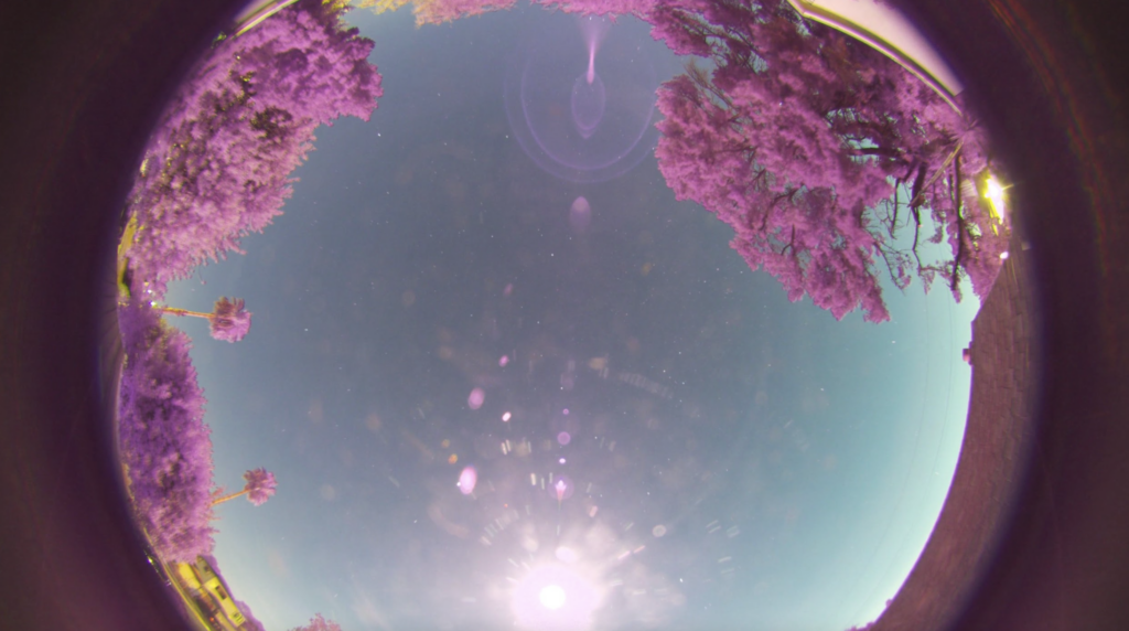 Timelapses and sun tracking create memorable images