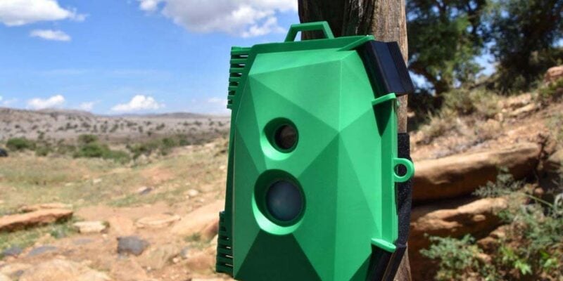 green plastic camera enclosure attached to a skinny tree trunk in a warm looking climate with brown earth and blue skies