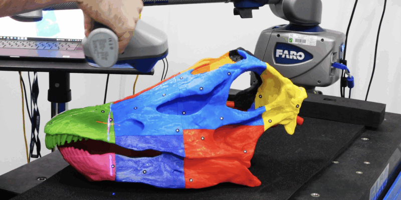 This image shows a person using a 3D scanning device to scan a colorful model of an animal skull, possibly that of a dinosaur or large reptile. The scanner is connected to an articulated arm that extends from a base labeled “FARO”. In the background, there’s part of a computer monitor displaying graphical data related to the scanning process. The entire setup is placed on top of a black table with blue edges.