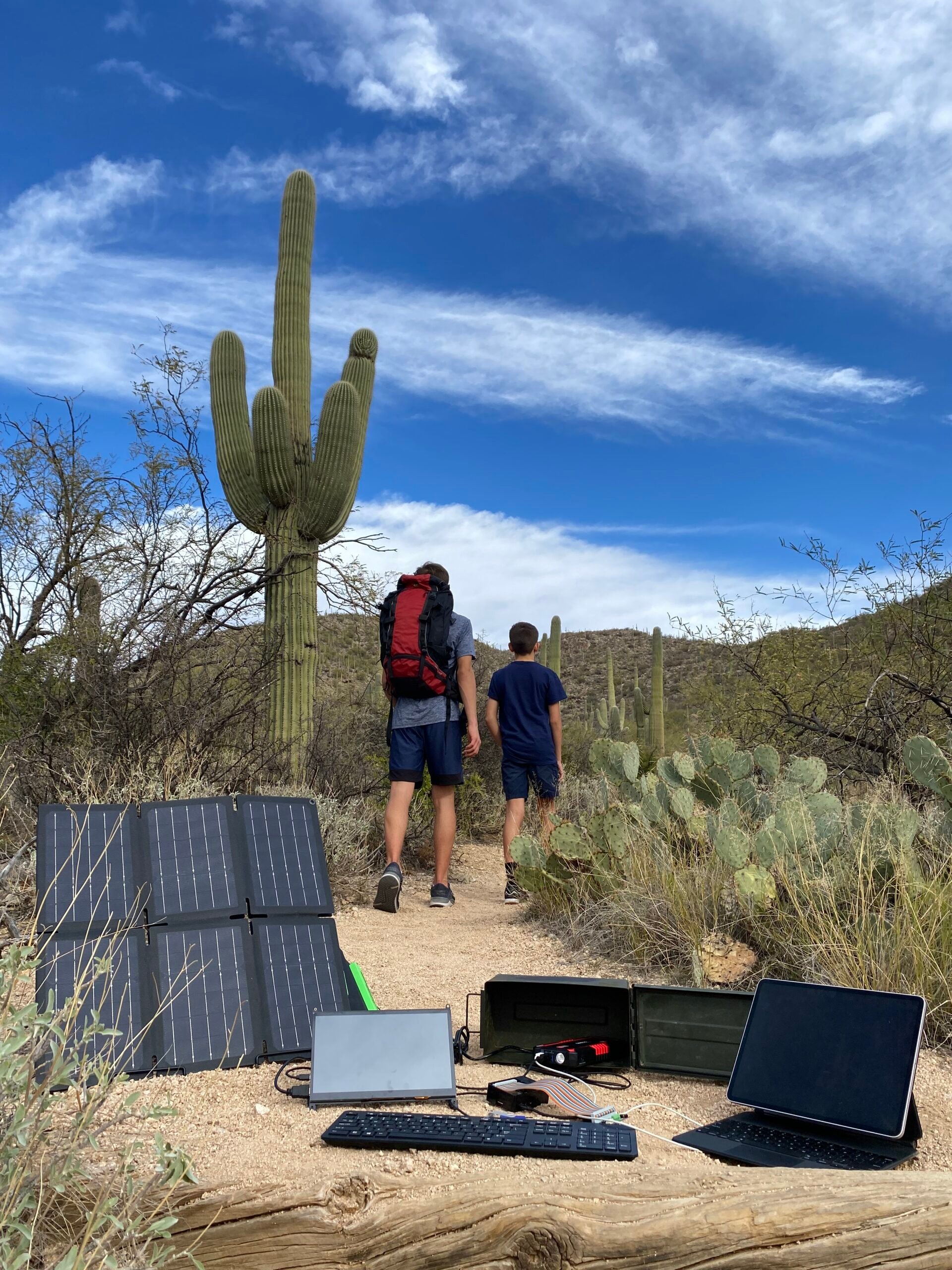 A-BiRD uses Raspberry Pi to identify different species singing at the ...