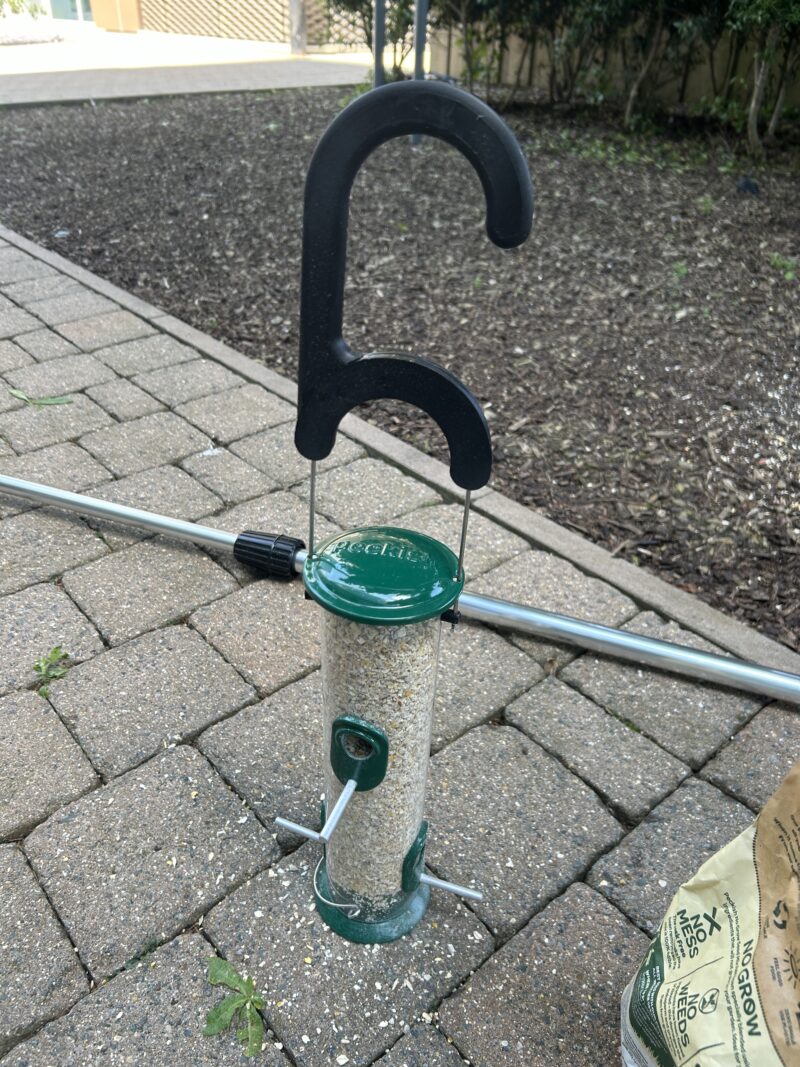Making friends with birds outside Pi Towers - Raspberry Pi