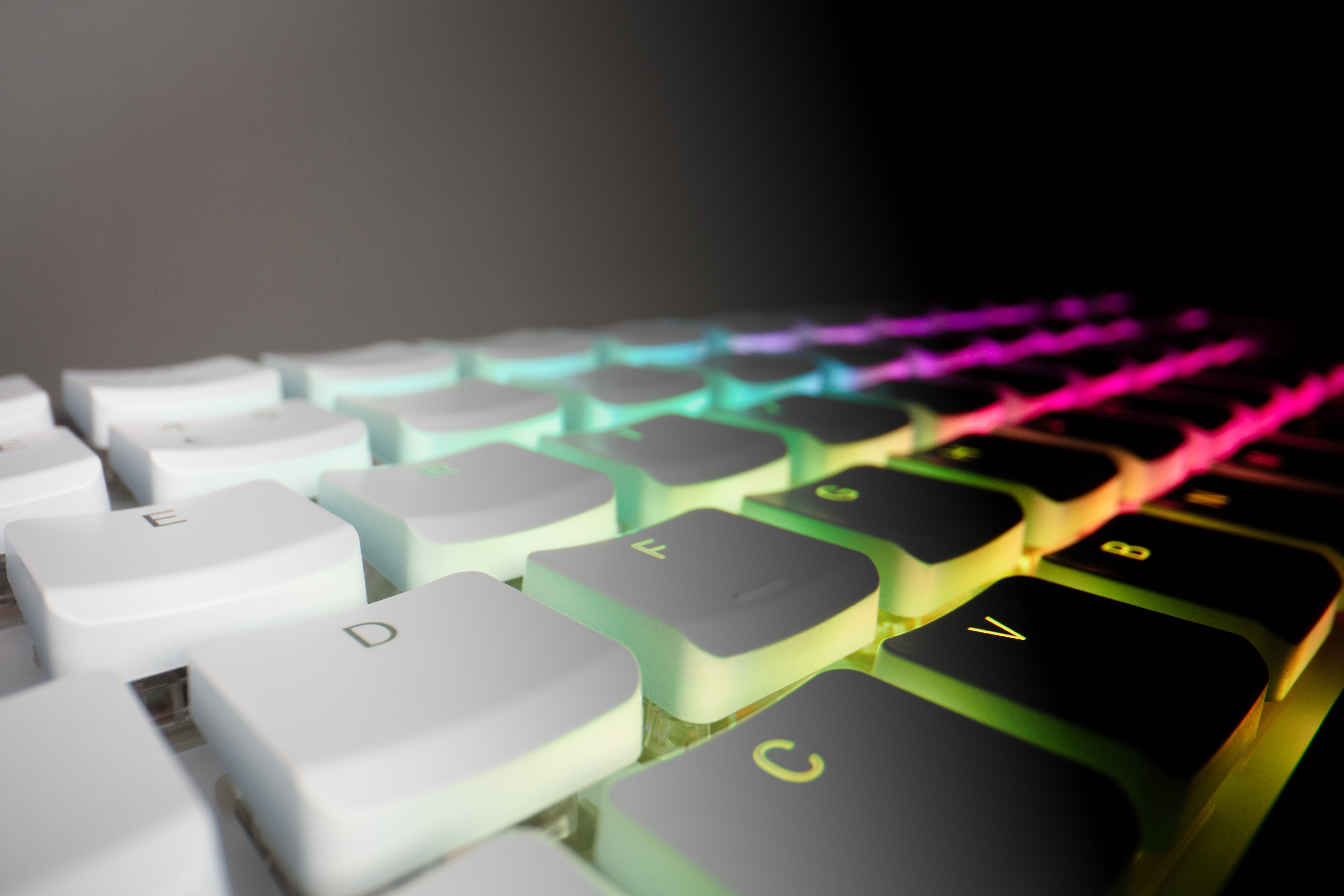 Win a Raspberry Pi 500+ and Raspberry Pi Monitor!