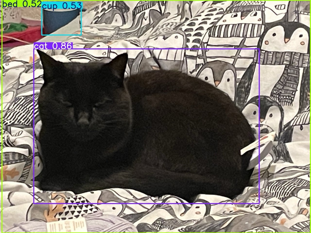 Cat Detector Raspberry Pi Object detection with Ultralytics YOLO26 on Raspberry Pi - Raspberry Pi