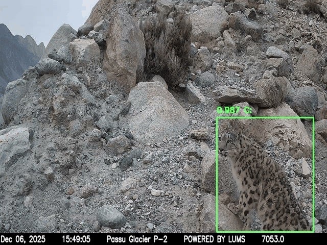 Powering coexistence: how Raspberry Pi technology is helping WWF protect wildlife and communities in Pakistan  Raspberry Pi