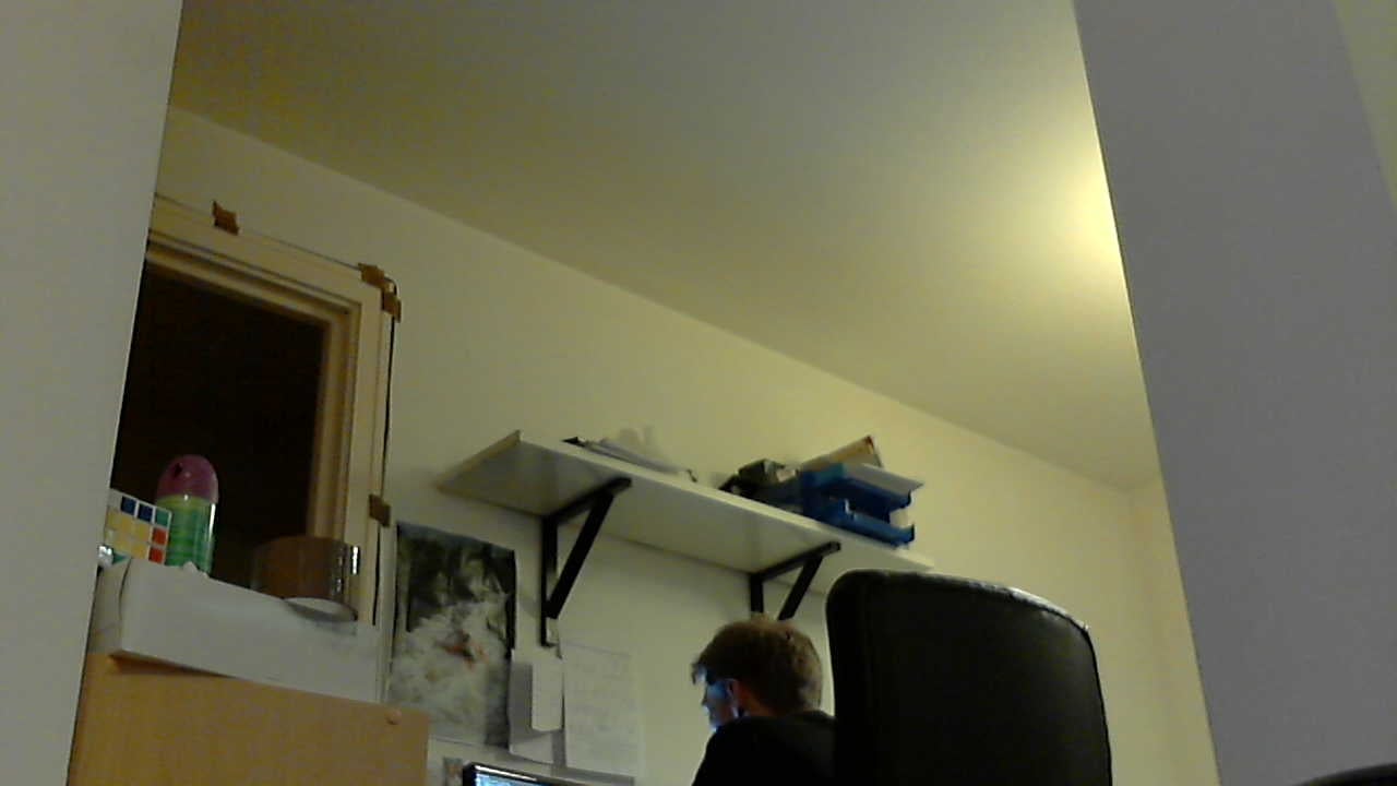 Specify `--no-banner` to save the image without the timestamp banner