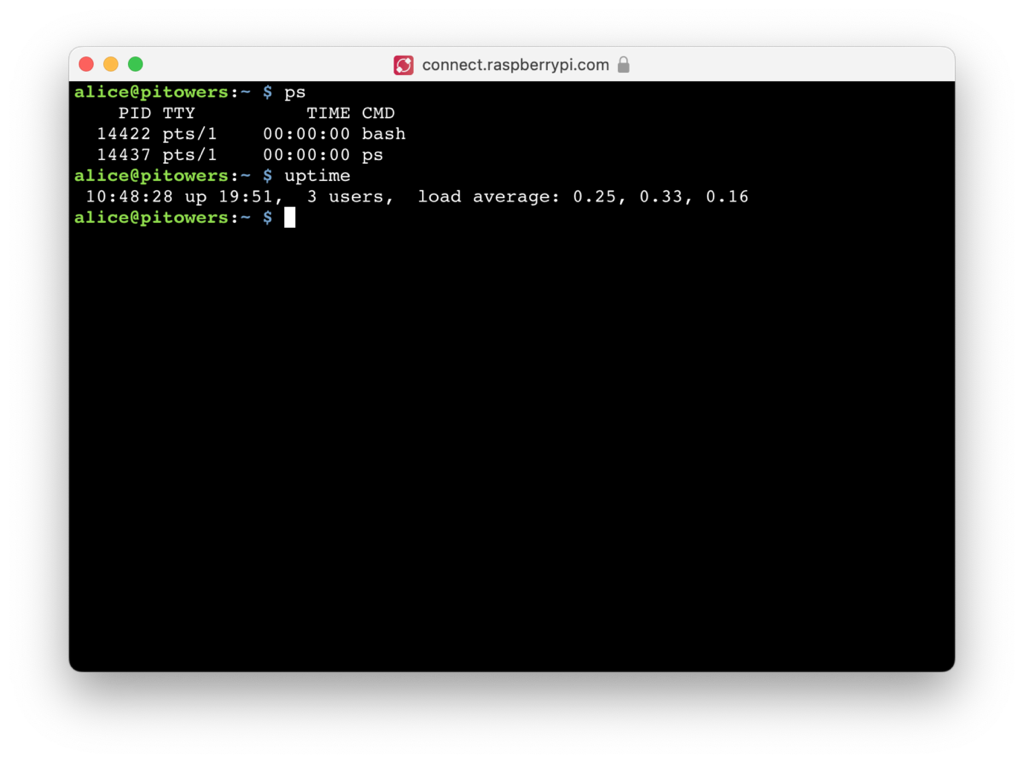 Window showing an open connection using the the remote shell.